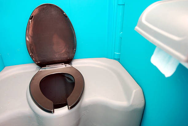 Best Sanitation services for porta potties  in Townsend, DE